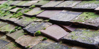 Llangunnor roof repair costs